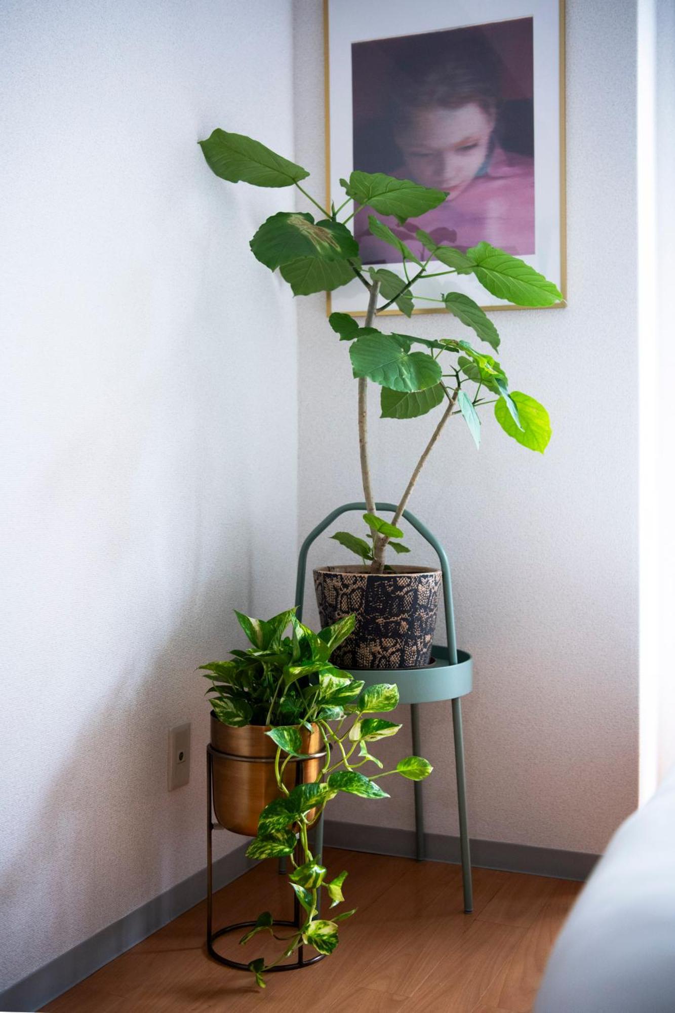 Renovated In June 2024 Apartment 3Mins Walk To Station 1Stop To Shinjuku 3Stop To Shibuya Prefektura Tokio Exteriér fotografie